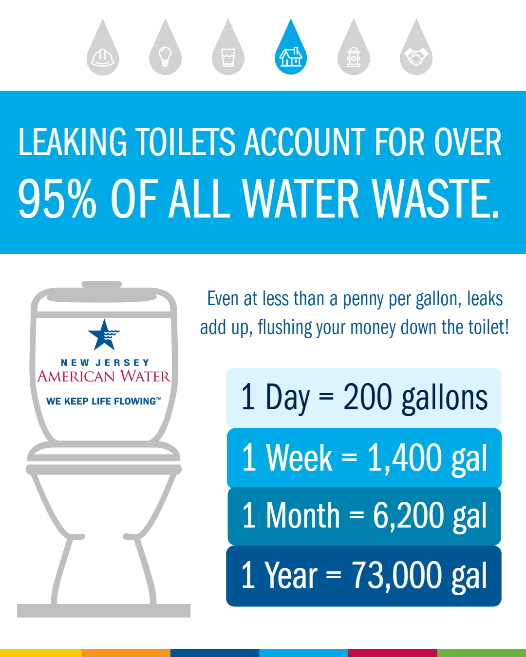 Toilet Leak Infographic